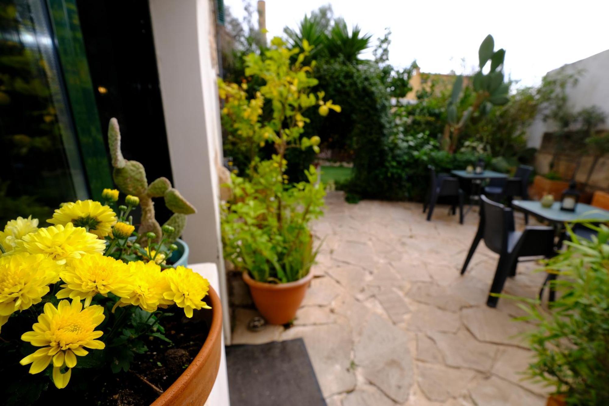 Casa Caimari Guest House, For Mountain Lovers! 외부 사진